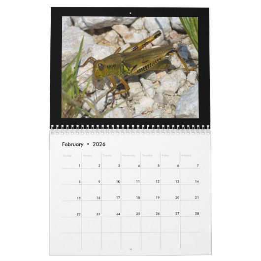 Prachtige Insects Agenda 2018 Kalender (Feb 2026)