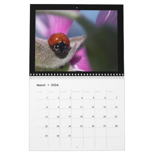 Prachtige Insects Agenda 2018 Kalender (Mar 2026)