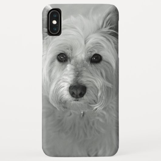Prachtige iPhone-draagtas van Westie Dog Case-Mate iPhone Case (Achterkant)
