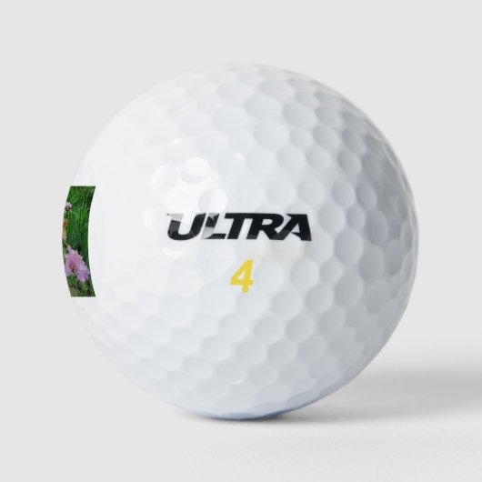Prachtige Iris Fantasy Pathway Golfballen (Logo)