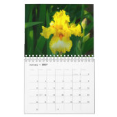 Prachtige Irisfotokalender Kalender (Jan 2027)