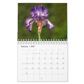 Prachtige Irisfotokalender Kalender (Feb 2027)