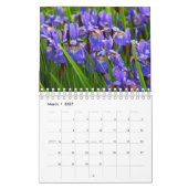 Prachtige Irisfotokalender Kalender (Mar 2027)