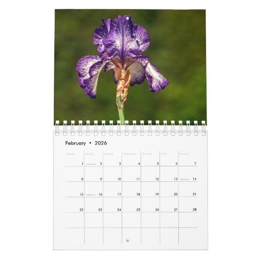 Prachtige Irisfotokalender Kalender (Feb 2026)