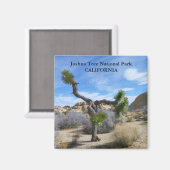 Prachtige Joshua Tree magneet! Magneet (Voorkant / Achterkant)