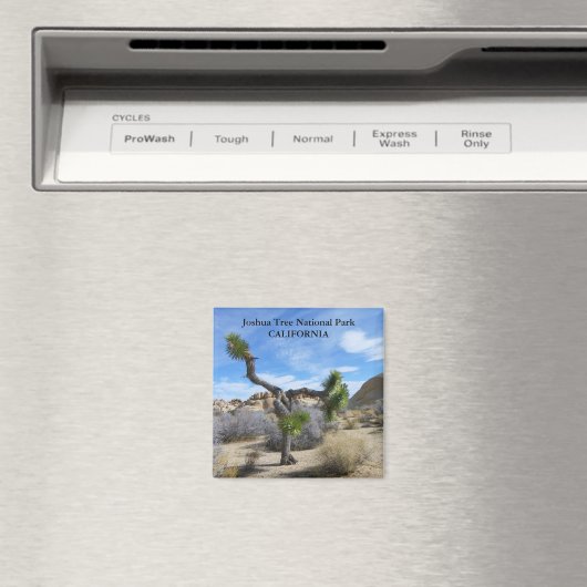 Prachtige Joshua Tree magneet! Magneet (Insitu (Vaatwasser))