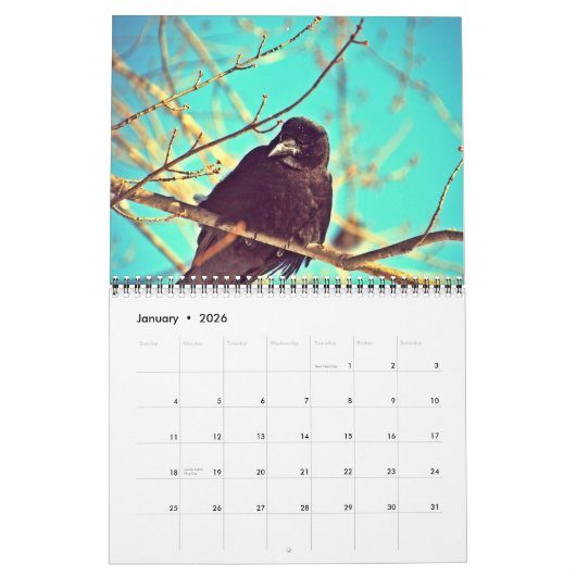 Prachtige kalender voor codenografie (Jan 2026)