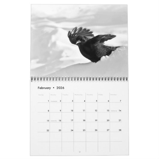 Prachtige kalender voor codenografie (Feb 2026)