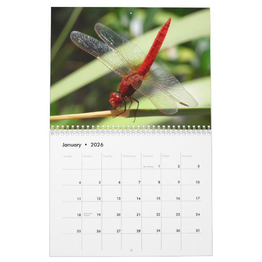 Prachtige kalender voor libellen (Jan 2026)