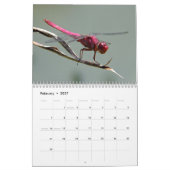 Prachtige kalender voor libellen (Feb 2027)