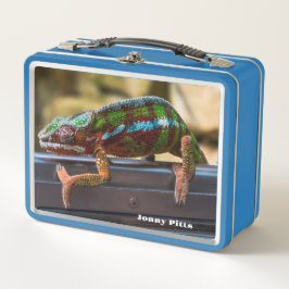 Prachtige kameleon