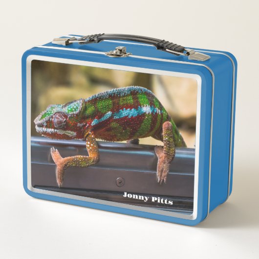 Prachtige kameleon (Voorkant)