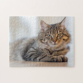 Prachtige kat die naar je jigzaag puzzle staart legpuzzel
