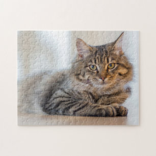 Prachtige kat die naar je jigzaag puzzle staart legpuzzel