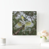 Prachtige katoenpootvogels die parrot verspreiden vierkante klok (Huis)