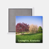 Prachtige Kentucky Landscape en Trees Magneet (Voorkant / Achterkant)