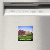 Prachtige Kentucky Landscape en Trees Magneet (Insitu (Vaatwasser))