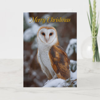 Prachtige Kerkuil Foto Kerstkaart Kaart