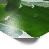 Prachtige kerstcactus Bloom Foto Afdruk (Hoek)