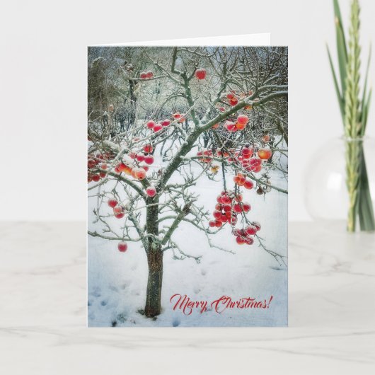 Prachtige kerstkaart! kaart (Voorkant)