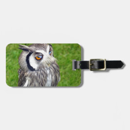 Prachtige Kleine Owl Bagagelabel