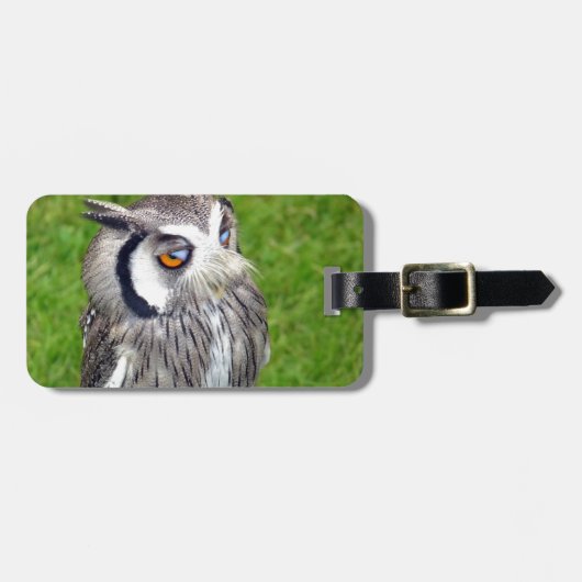 Prachtige Kleine Owl Bagagelabel (Voorkant horizontaal)