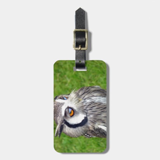 Prachtige Kleine Owl Bagagelabel (Voorkant verticaal)