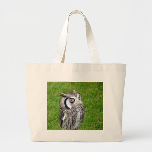 Prachtige Kleine Owl Grote Tote Bag (Voorkant)