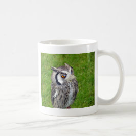 Prachtige Kleine Owl Koffiemok