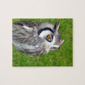 Prachtige Kleine Owl Legpuzzel (Horizontaal)