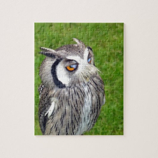 Prachtige Kleine Owl Legpuzzel (Verticaal)