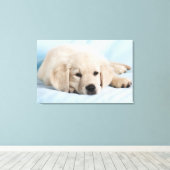 Prachtige kleine papaver canvas afdruk (Insitu (Houten vloer))