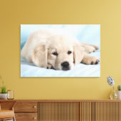 Prachtige kleine papaver canvas afdruk (Insitu (Woonkamer))