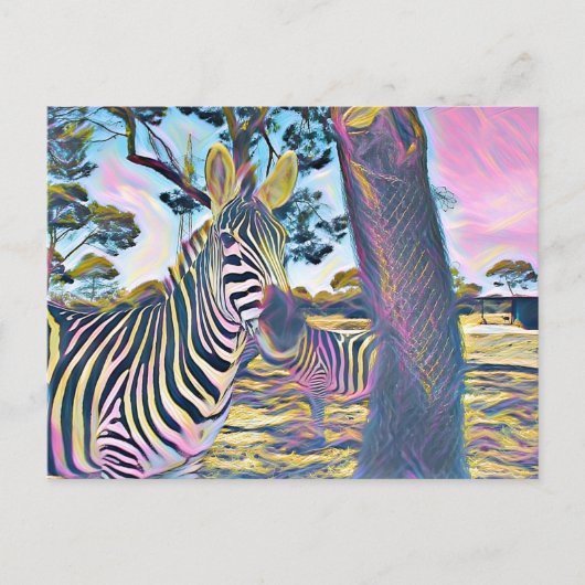 prachtige kleur van het zebra briefkaart (Voorkant)