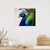 Prachtige kleurige Peacock Peafowl Bird Wildlife P Poster (Keuken)
