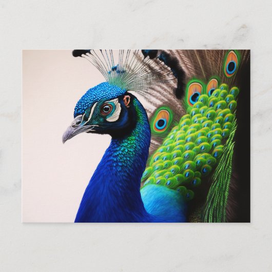 Prachtige kleurige Peacock Peafowl Bird Willife Briefkaart (Voorkant)
