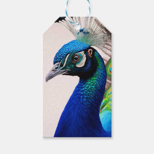 Prachtige kleurige Peacock Peafowl Bird Willife Cadeaulabel (Voorkant)