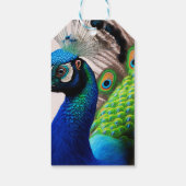 Prachtige kleurige Peacock Peafowl Bird Willife Cadeaulabel (Achterkant)