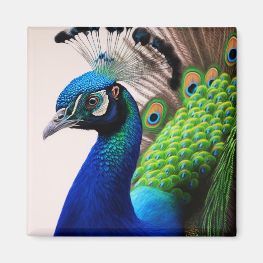 Prachtige kleurige Peacock Peafowl Bird Willife Magneet (Voorkant)