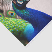 Prachtige kleurige Peacock Peafowl Bird Willife Tissuepapier (Detail)