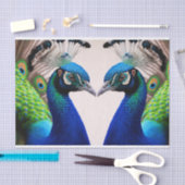 Prachtige kleurige Peacock Peafowl Bird Willife Tissuepapier (Craft)