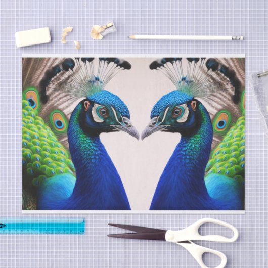 Prachtige kleurige Peacock Peafowl Bird Willife Tissuepapier (Craft)