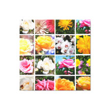 Prachtige kleurrijke bloemen, roze, witte gele roo