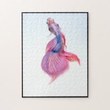 Prachtige kleurrijke Fantasy Koi Fish