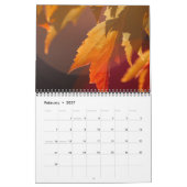 Prachtige, kleurrijke herfstfotokalender kalender (Feb 2027)