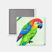Prachtige kleurrijke papegaai magneet (Voorkant / Achterkant)