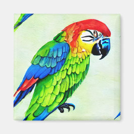 Prachtige kleurrijke papegaai magneet