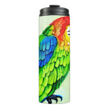 Prachtige kleurrijke papegaai