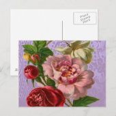 Prachtige kleurrijke Rozen Briefkaart (Voorkant / Achterkant)