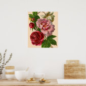 Prachtige kleurrijke Rozen Poster (Keuken)
